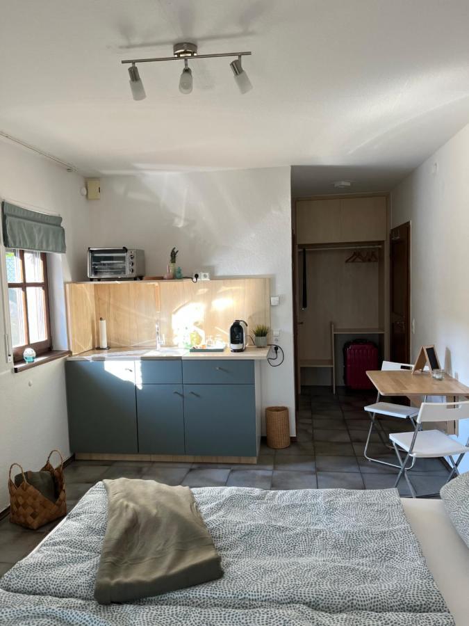 1 Zimmer Whg Waldfischbach Exterior foto