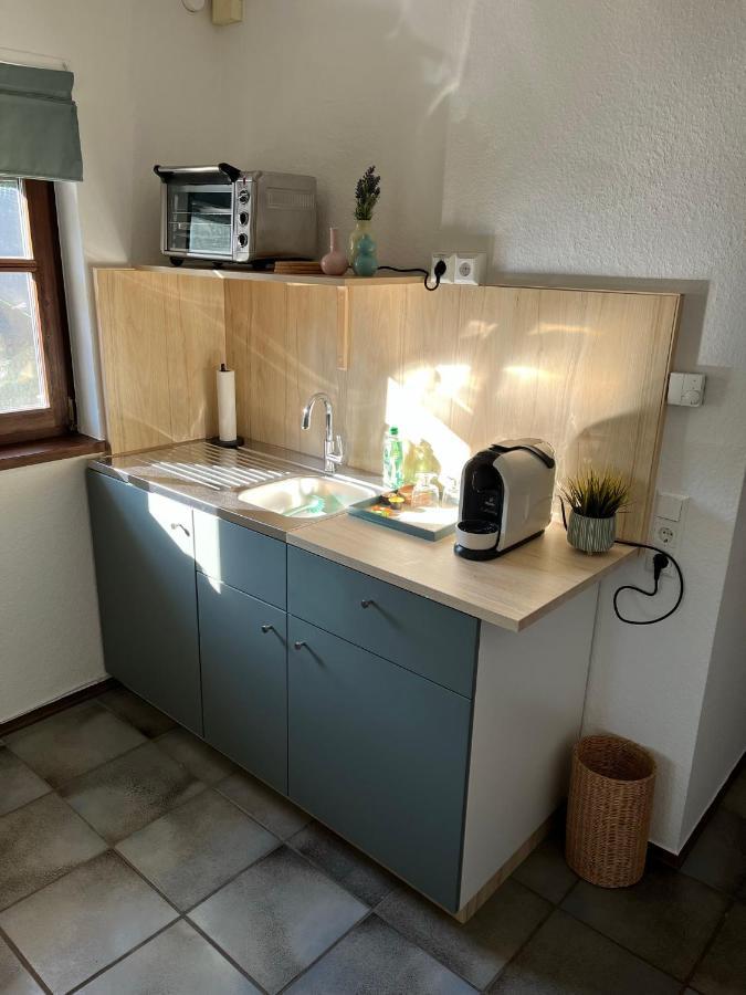 1 Zimmer Whg Waldfischbach Exterior foto