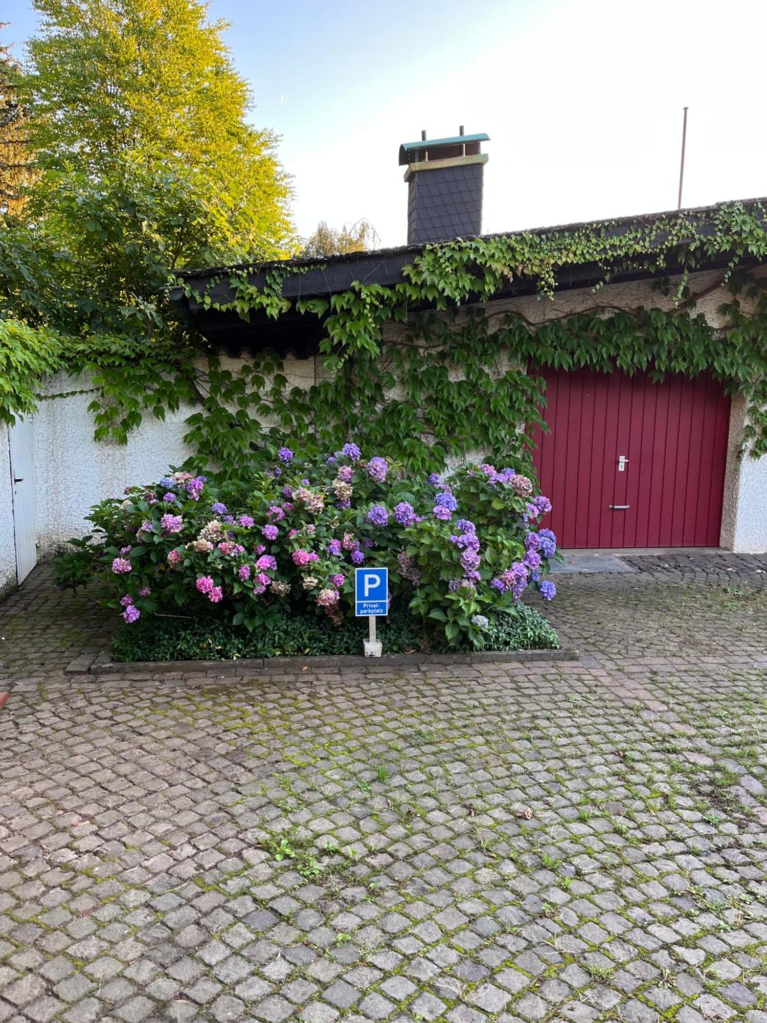 1 Zimmer Whg Waldfischbach Cameră foto